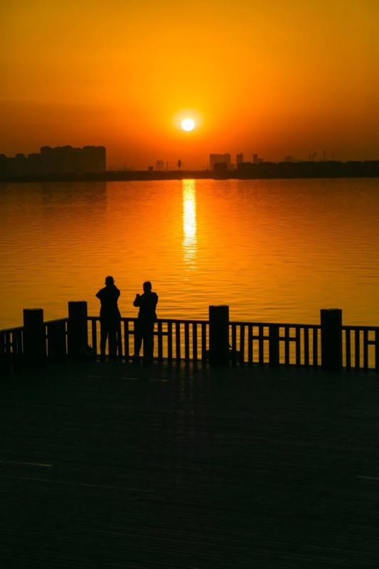 Egret Garden Sunset