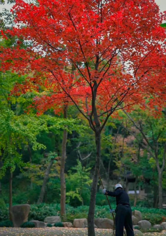 Tianping Mountain