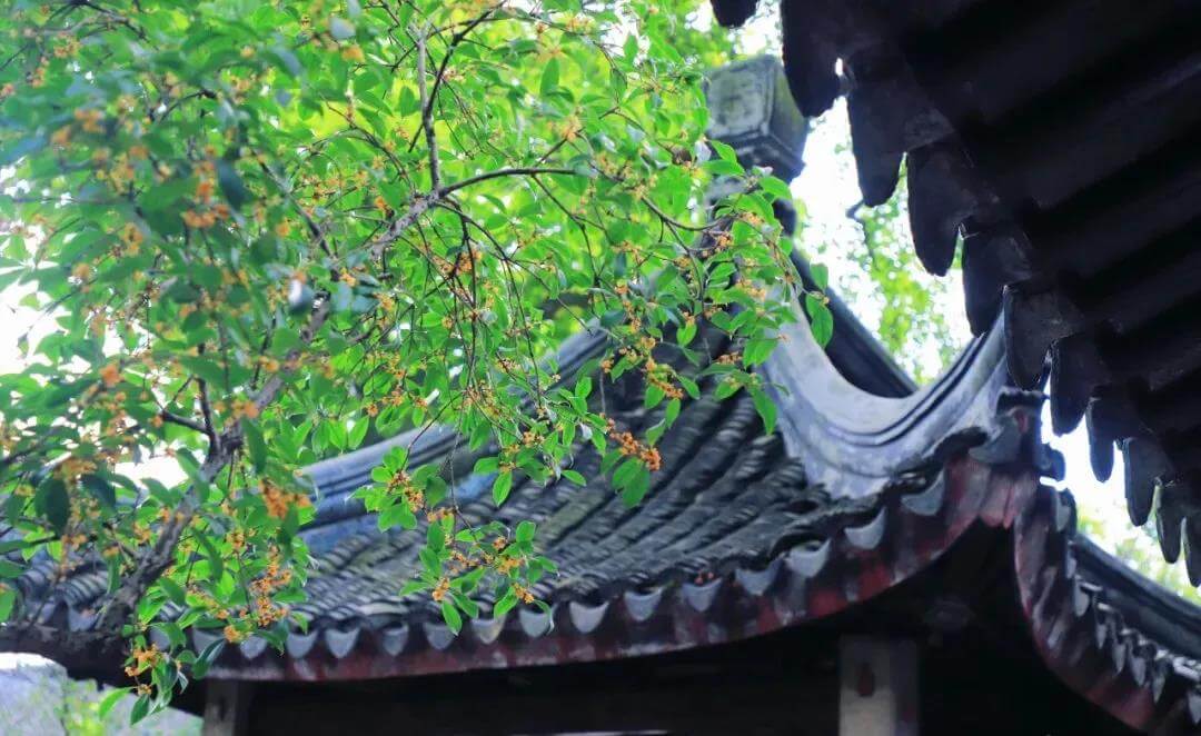 Yiyuan Garden