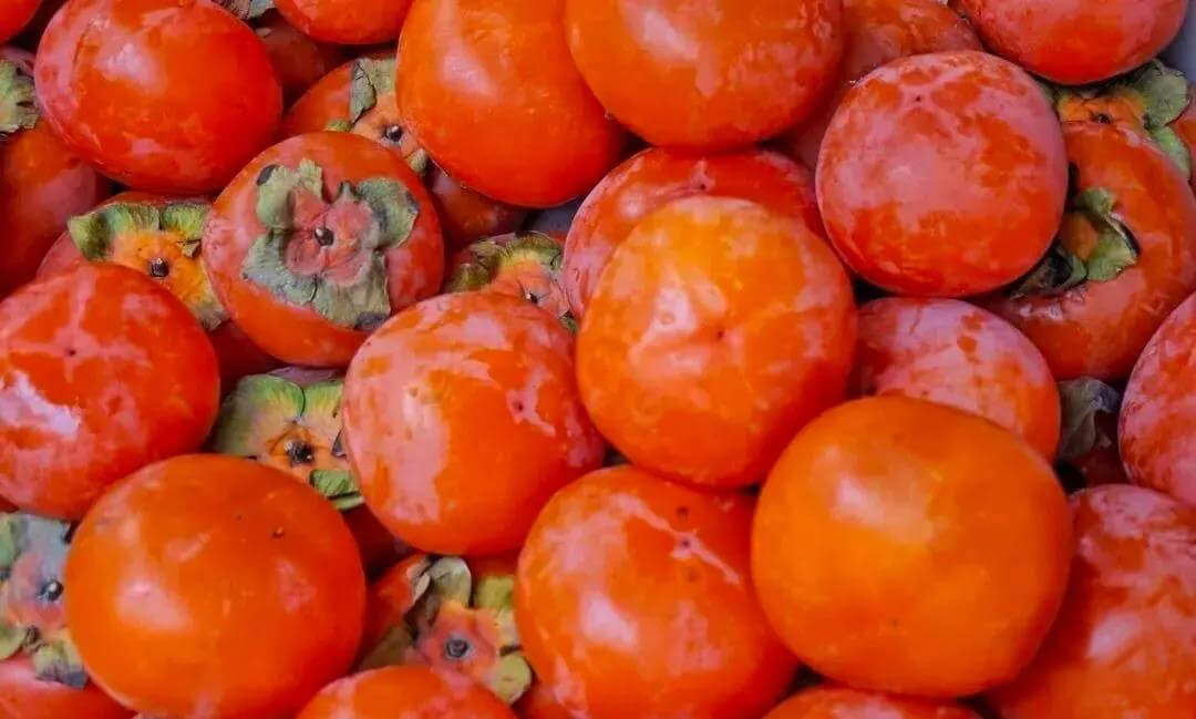 persimmons