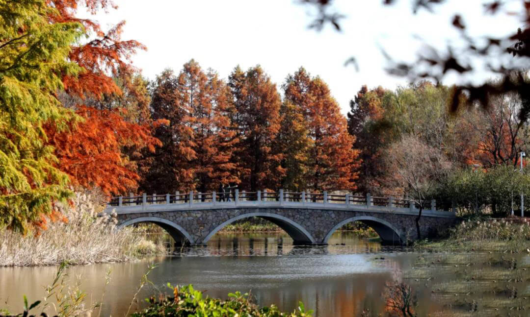 Suzhou Huqiu Wetland Park