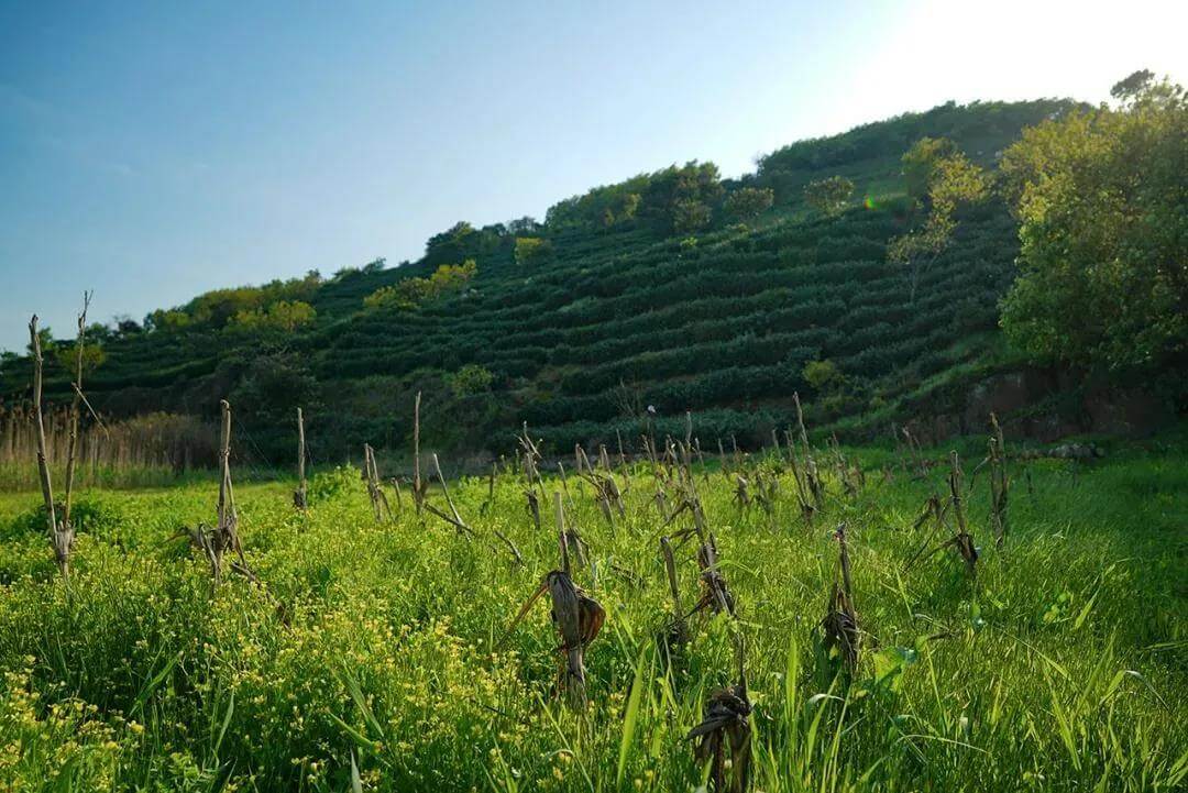 Taihu Lake Islands