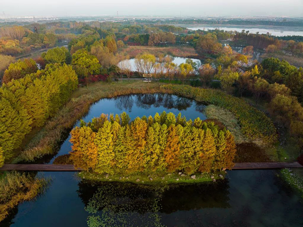 Suzhou Tiger Hill Wetland Park