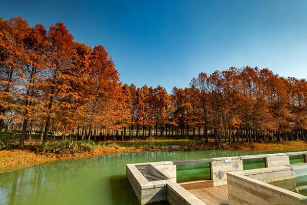 Suzhou Tiger Hill Wetland Park